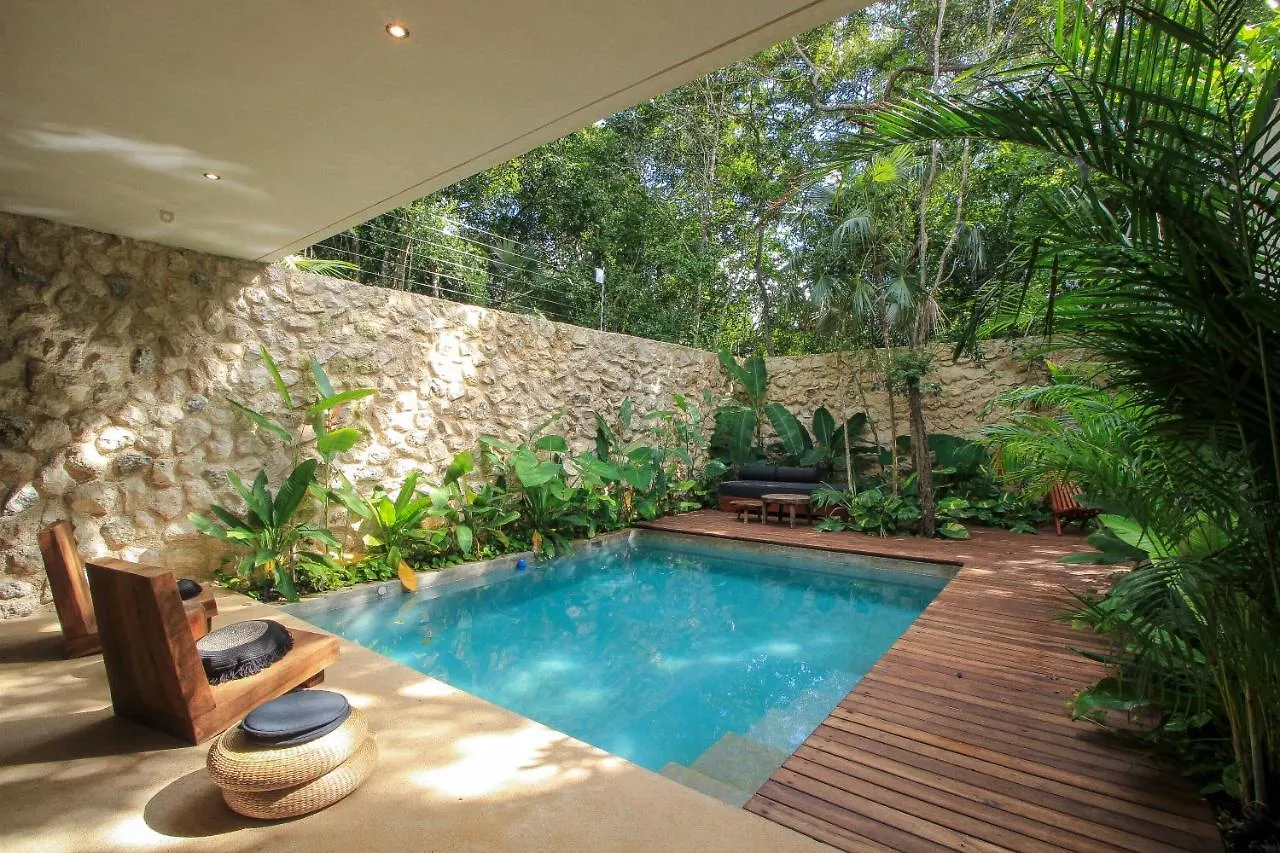 Elegant Boho Style Villa Jungle Views In Rooftop Deck & Outstanding Raw Pool In Holistika Tulum Mexiko